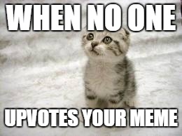 Sad Cat Meme | WHEN NO ONE; UPVOTES YOUR MEME | image tagged in memes,sad cat | made w/ Imgflip meme maker