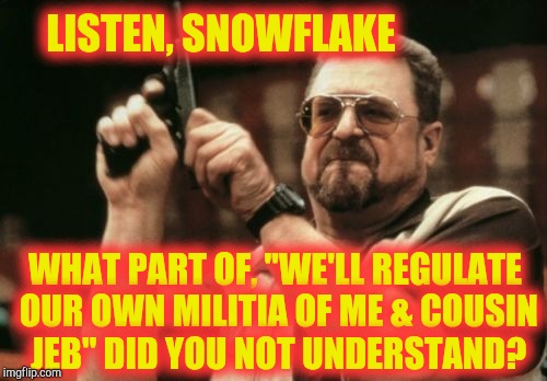 Am I The Only One Around Here Meme | LISTEN, SNOWFLAKE WHAT PART OF, "WE'LL REGULATE OUR OWN MILITIA OF ME & COUSIN JEB" DID YOU NOT UNDERSTAND? | image tagged in memes,am i the only one around here | made w/ Imgflip meme maker