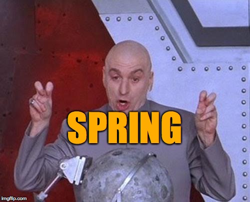 This is not what I ordered. | SPRING | image tagged in memes,spring,send it back | made w/ Imgflip meme maker