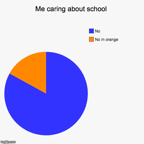 Me caring about school | No in orange, No | image tagged in funny,pie charts | made w/ Imgflip chart maker