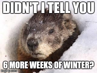 groundhog in snow | DIDN'T I TELL YOU; 6 MORE WEEKS OF WINTER? | image tagged in groundhog in snow | made w/ Imgflip meme maker