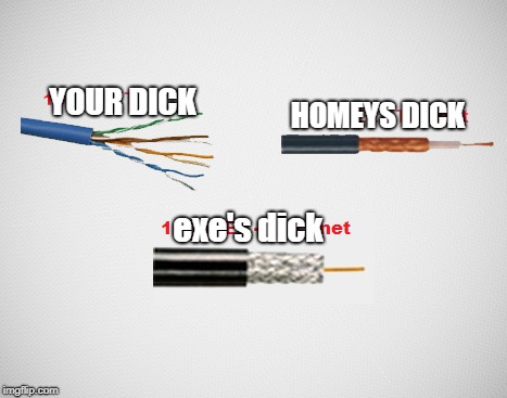 The longest phallus of them all | YOUR DICK; HOMEYS DICK; exe's dick | image tagged in dick,cables,funny,size | made w/ Imgflip meme maker