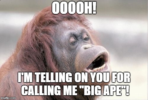 Big Ape | OOOOH! I'M TELLING ON YOU FOR CALLING ME "BIG APE"! | image tagged in memes,monkey ooh,big ape,monkeys,monkey business | made w/ Imgflip meme maker