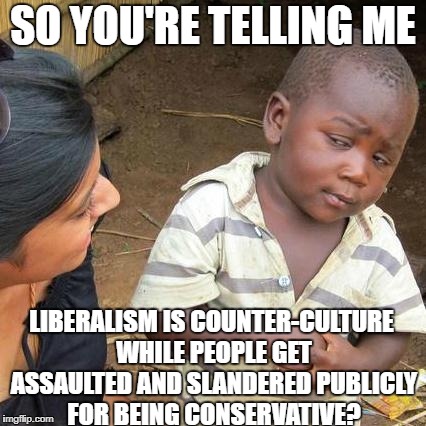 Third World Skeptical Kid | SO YOU'RE TELLING ME; LIBERALISM IS COUNTER-CULTURE WHILE PEOPLE GET ASSAULTED AND SLANDERED PUBLICLY FOR BEING CONSERVATIVE? | image tagged in memes,third world skeptical kid,liberal,assault,conservative,liberal vs conservative | made w/ Imgflip meme maker