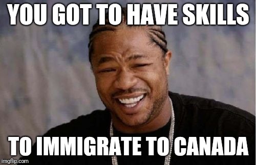 Yo Dawg Heard You Meme | YOU GOT TO HAVE SKILLS TO IMMIGRATE TO CANADA | image tagged in memes,yo dawg heard you | made w/ Imgflip meme maker