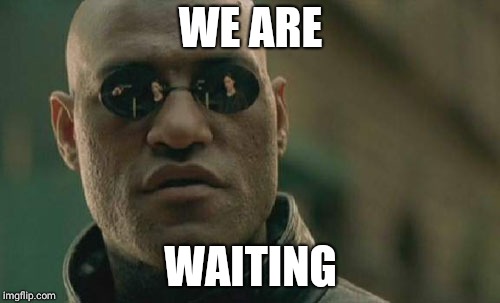 Matrix Morpheus Meme | WE ARE; WAITING | image tagged in memes,matrix morpheus | made w/ Imgflip meme maker