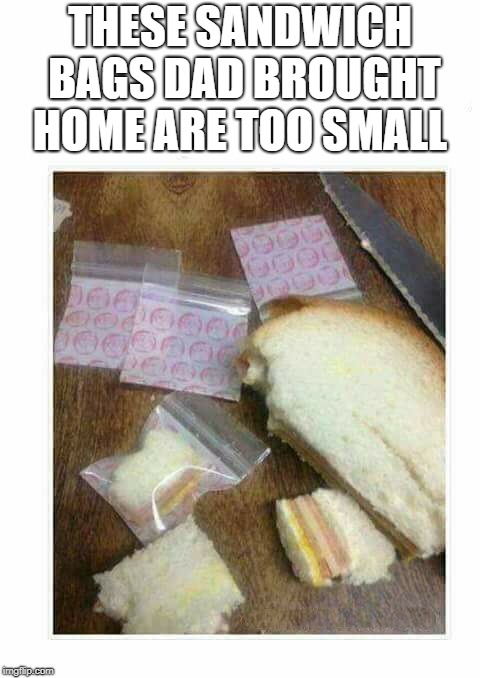 these sandwich bags dad brought home are too small | THESE SANDWICH BAGS DAD BROUGHT HOME ARE TOO SMALL | image tagged in funny | made w/ Imgflip meme maker