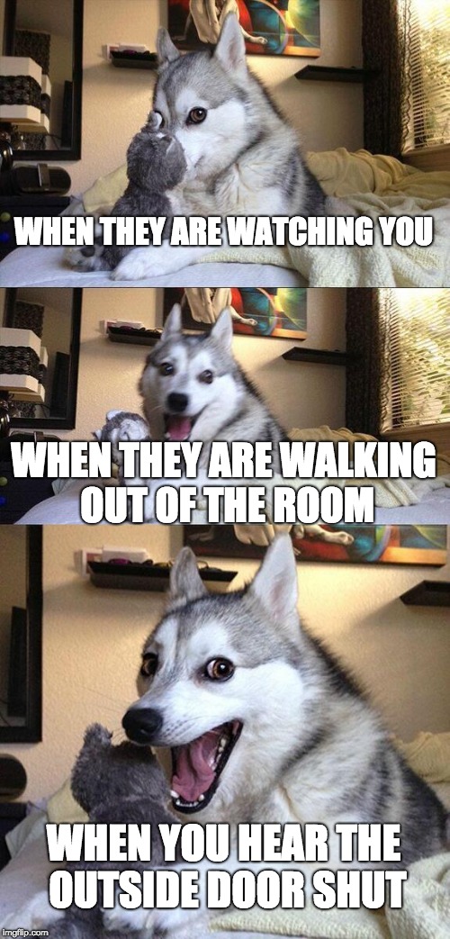 Bad Pun Dog Meme | WHEN THEY ARE WATCHING YOU; WHEN THEY ARE WALKING OUT OF THE ROOM; WHEN YOU HEAR THE OUTSIDE DOOR SHUT | image tagged in memes,bad pun dog | made w/ Imgflip meme maker