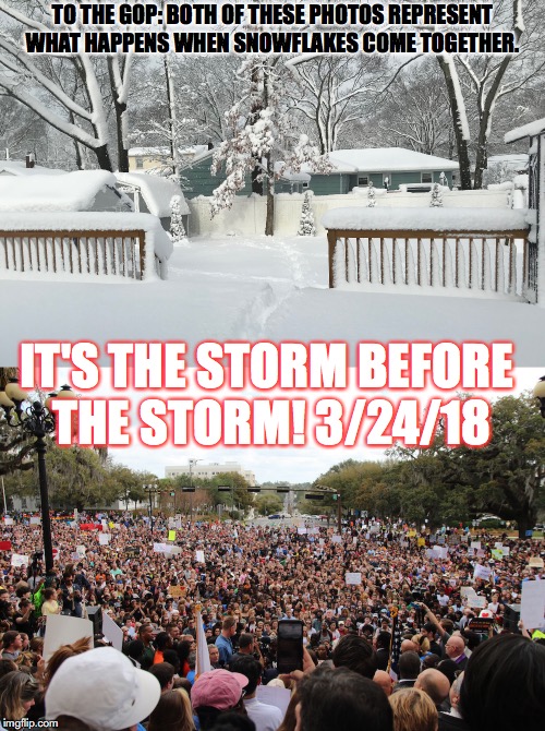 March for our Lives | TO THE GOP: BOTH OF THESE PHOTOS REPRESENT WHAT HAPPENS WHEN SNOWFLAKES COME TOGETHER. IT'S THE STORM BEFORE THE STORM! 3/24/18 | image tagged in student,parkland,protest,gun control,snowflakes,liberals | made w/ Imgflip meme maker