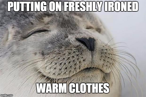 Satisfied Seal Meme | PUTTING ON FRESHLY IRONED; WARM CLOTHES | image tagged in memes,satisfied seal,AdviceAnimals | made w/ Imgflip meme maker