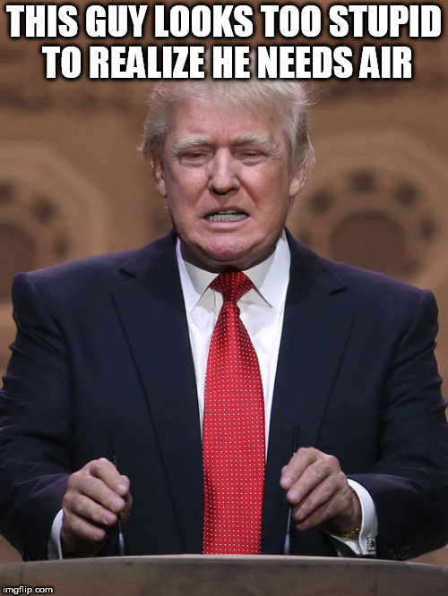 Donald Trump | THIS GUY LOOKS TOO STUPID TO REALIZE HE NEEDS AIR | image tagged in donald trump | made w/ Imgflip meme maker