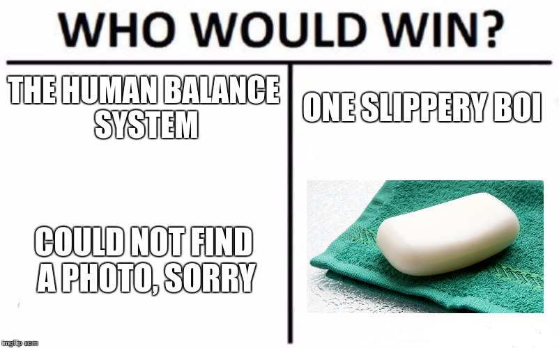 Who Would Win? | THE HUMAN BALANCE SYSTEM; ONE SLIPPERY BOI; COULD NOT FIND A PHOTO, SORRY | image tagged in memes,who would win | made w/ Imgflip meme maker