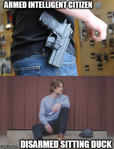 over  under  | ARMED INTELLIGENT CITIZEN; DISARMED SITTING DUCK | image tagged in gun control,sitting duck,armed,firearm | made w/ Imgflip meme maker