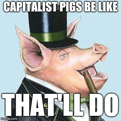 Piggy Bank | CAPITALIST PIGS BE LIKE; THAT'LL DO | image tagged in capitalism,pig,kek,drain the swamp,political meme,its finally over | made w/ Imgflip meme maker