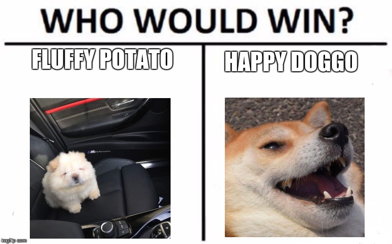 Who Would Win? | HAPPY DOGGO; FLUFFY POTATO | image tagged in memes,who would win | made w/ Imgflip meme maker