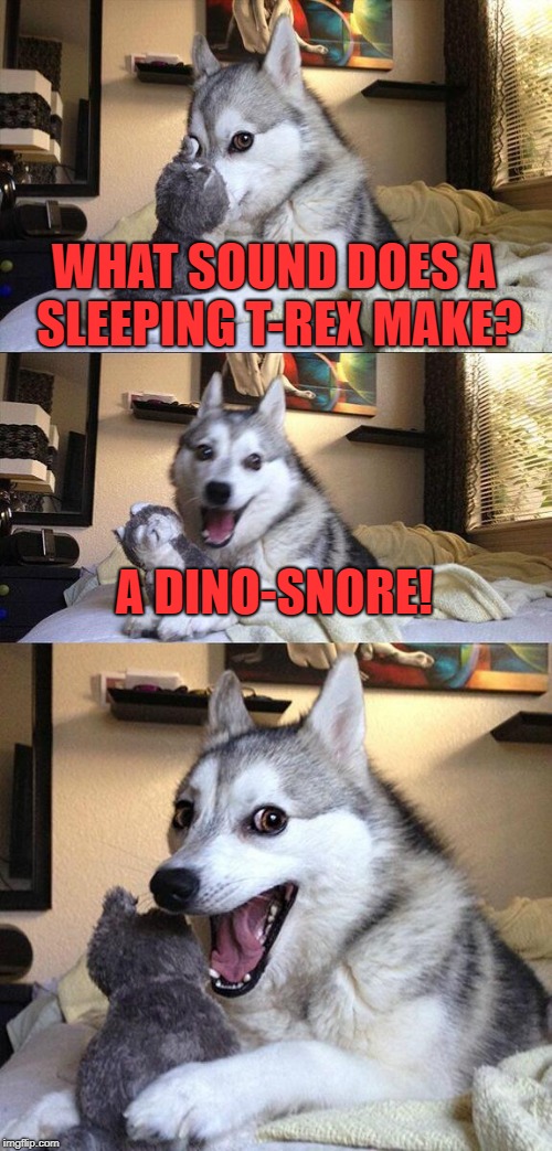 Bad Pun Dog | WHAT SOUND DOES A SLEEPING T-REX MAKE? A DINO-SNORE! | image tagged in memes,bad pun dog | made w/ Imgflip meme maker