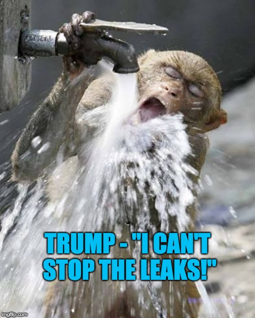 Trump - "I can't stop the leaks!" | TRUMP - "I CAN'T STOP THE LEAKS!" | image tagged in trump,faucet,leaks,trump leaks,leaking trump | made w/ Imgflip meme maker