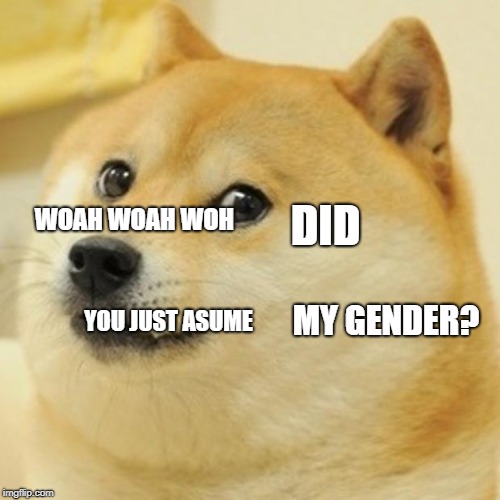 Doge Meme | WOAH WOAH WOH DID MY GENDER? YOU JUST ASUME | image tagged in memes,doge | made w/ Imgflip meme maker