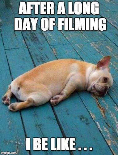 French Bulldog Tired | AFTER A LONG DAY OF FILMING; I BE LIKE . . . | image tagged in french bulldog tired | made w/ Imgflip meme maker