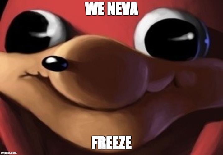 we neva freeze | WE NEVA; FREEZE | image tagged in ugandan knuckles | made w/ Imgflip meme maker