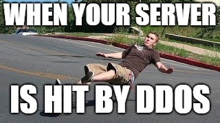 WHEN YOUR SERVER; IS HIT BY DDOS | image tagged in memes | made w/ Imgflip meme maker