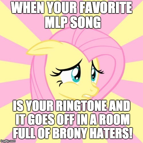 Awkward Fluttershy | WHEN YOUR FAVORITE MLP SONG; IS YOUR RINGTONE AND IT GOES OFF IN A ROOM FULL OF BRONY HATERS! | image tagged in awkward fluttershy | made w/ Imgflip meme maker