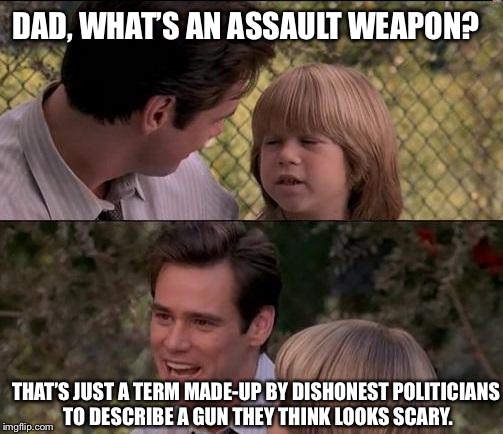 That's Just Something X Say Meme | DAD, WHAT’S AN ASSAULT WEAPON? THAT’S JUST A TERM MADE-UP BY DISHONEST POLITICIANS TO DESCRIBE A GUN THEY THINK LOOKS SCARY. | image tagged in memes,thats just something x say | made w/ Imgflip meme maker