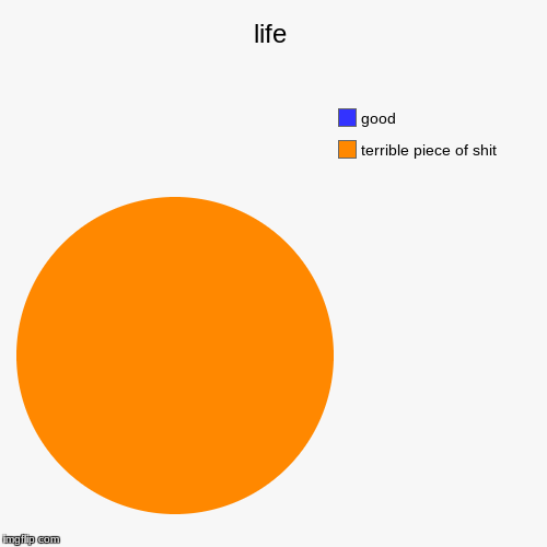 life | terrible piece of shit, good | image tagged in funny,pie charts | made w/ Imgflip chart maker