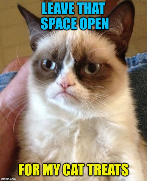 Grumpy Cat Meme | LEAVE THAT SPACE OPEN FOR MY CAT TREATS | image tagged in memes,grumpy cat | made w/ Imgflip meme maker