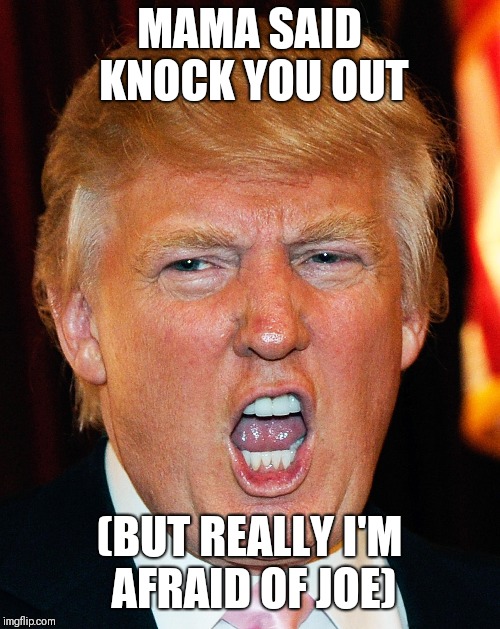 Donald Trump I Will Duck You Up | MAMA SAID KNOCK YOU OUT; (BUT REALLY I'M AFRAID OF JOE) | image tagged in donald trump i will duck you up | made w/ Imgflip meme maker