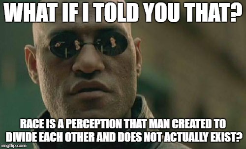 Matrix Morpheus Meme | WHAT IF I TOLD YOU THAT? RACE IS A PERCEPTION THAT MAN CREATED TO DIVIDE EACH OTHER AND DOES NOT ACTUALLY EXIST? | image tagged in memes,matrix morpheus | made w/ Imgflip meme maker