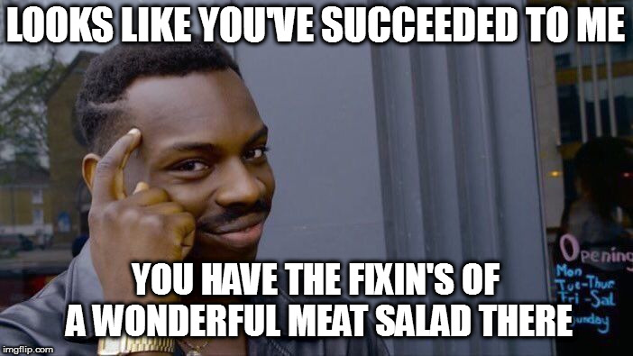 Roll Safe Think About It Meme | LOOKS LIKE YOU'VE SUCCEEDED TO ME YOU HAVE THE FIXIN'S OF A WONDERFUL MEAT SALAD THERE | image tagged in memes,roll safe think about it | made w/ Imgflip meme maker