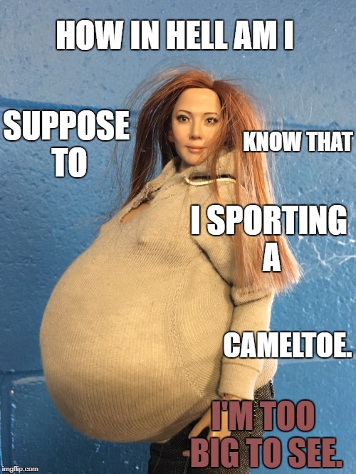 Olivia Michelle | HOW IN HELL AM I; SUPPOSE TO; KNOW THAT; I SPORTING A; CAMELTOE. I'M TOO BIG TO SEE. | image tagged in olivia michelle | made w/ Imgflip meme maker