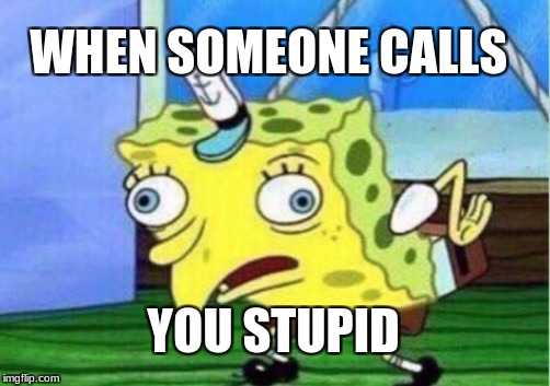 Mocking Spongebob | WHEN SOMEONE CALLS; YOU STUPID | image tagged in memes,mocking spongebob | made w/ Imgflip meme maker