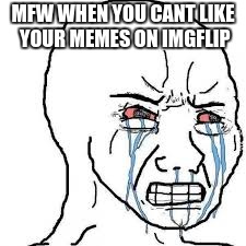 me | MFW WHEN YOU CANT LIKE YOUR MEMES ON IMGFLIP | image tagged in memes | made w/ Imgflip meme maker