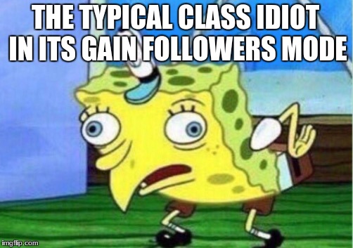 Mocking Spongebob Meme | THE TYPICAL CLASS IDIOT IN ITS GAIN FOLLOWERS MODE | image tagged in memes,mocking spongebob | made w/ Imgflip meme maker