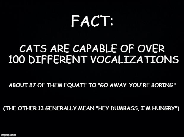 Black background | FACT:; CATS ARE CAPABLE OF OVER 100 DIFFERENT VOCALIZATIONS; ABOUT 87 OF THEM EQUATE TO "GO AWAY. YOU'RE BORING."; (THE OTHER 13 GENERALLY MEAN "HEY DUMBASS, I'M HUNGRY") | image tagged in black background | made w/ Imgflip meme maker
