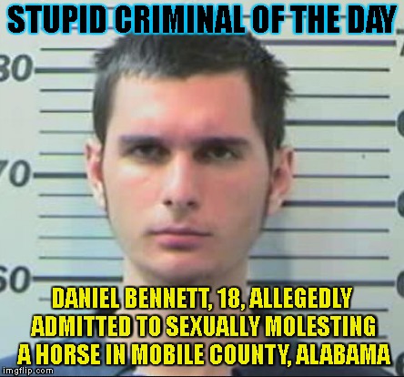 Now, That's A Horse Lover | STUPID CRIMINAL OF THE DAY; DANIEL BENNETT, 18, ALLEGEDLY ADMITTED TO SEXUALLY MOLESTING A HORSE IN MOBILE COUNTY, ALABAMA | image tagged in horses,love,criminal,stupid criminals,gross,peta | made w/ Imgflip meme maker