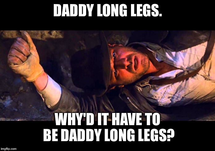 Daddy Long Legs Imgflip
