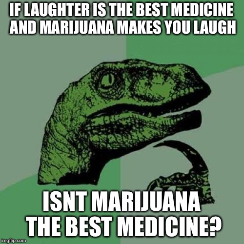 Philosoraptor | IF LAUGHTER IS THE BEST MEDICINE AND MARIJUANA MAKES YOU LAUGH; ISNT MARIJUANA THE BEST MEDICINE? | image tagged in memes,philosoraptor,smoke weed everyday,illuminati confirmed | made w/ Imgflip meme maker