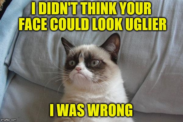 I DIDN'T THINK YOUR FACE COULD LOOK UGLIER I WAS WRONG | made w/ Imgflip meme maker