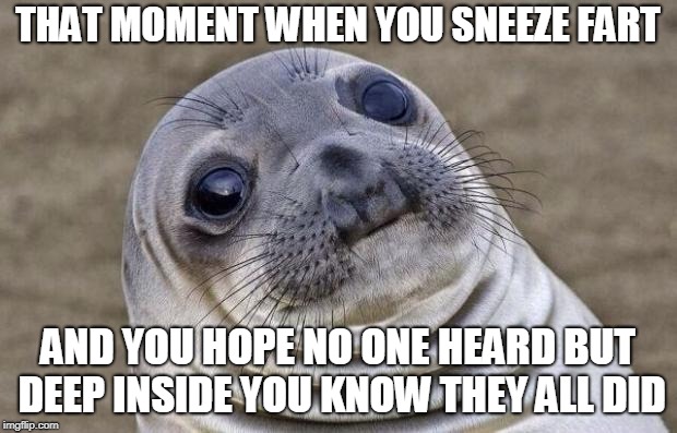 Awkward Moment Sealion Meme | THAT MOMENT WHEN YOU SNEEZE FART; AND YOU HOPE NO ONE HEARD BUT DEEP INSIDE YOU KNOW THEY ALL DID | image tagged in memes,awkward moment sealion | made w/ Imgflip meme maker