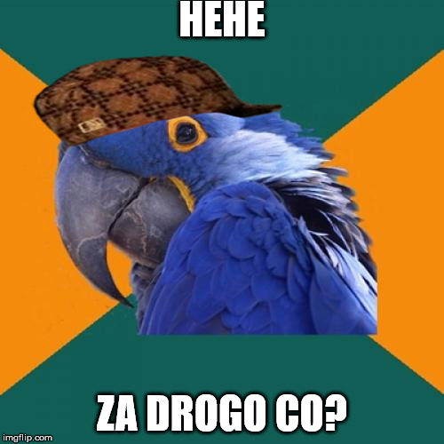 Paranoid Parrot | HEHE; ZA DROGO CO? | image tagged in memes,paranoid parrot,scumbag | made w/ Imgflip meme maker