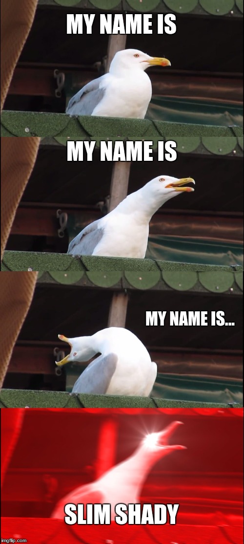 Inhaling Seagull | MY NAME IS; MY NAME IS; MY NAME IS... SLIM SHADY | image tagged in memes,inhaling seagull | made w/ Imgflip meme maker