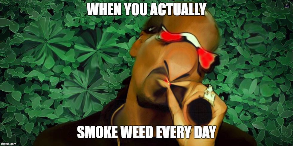 WHEN YOU ACTUALLY; SMOKE WEED EVERY DAY | image tagged in smoke weed everyday,rapper,crazy awesome | made w/ Imgflip meme maker