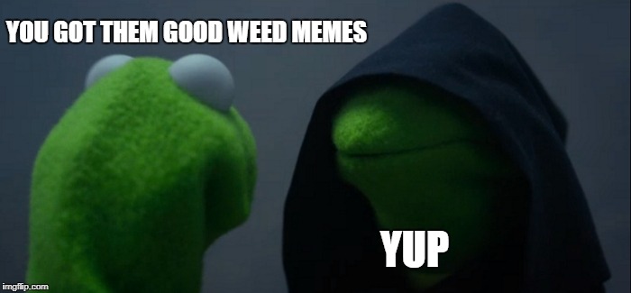 Evil Kermit Meme | YOU GOT THEM GOOD WEED MEMES YUP | image tagged in memes,evil kermit | made w/ Imgflip meme maker
