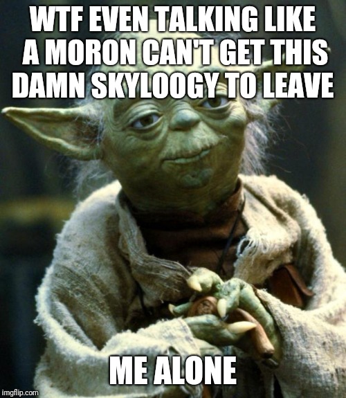 Star Wars Yoda Meme | WTF EVEN TALKING LIKE A MORON CAN'T GET THIS DAMN SKYLOOGY TO LEAVE; ME ALONE | image tagged in memes,star wars yoda | made w/ Imgflip meme maker