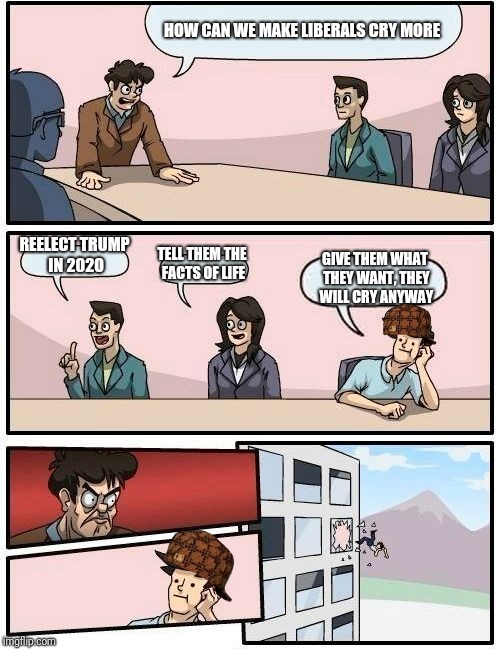 Boardroom Meeting Suggestion | HOW CAN WE MAKE LIBERALS CRY MORE; REELECT TRUMP IN 2020; TELL THEM THE FACTS OF LIFE; GIVE THEM WHAT THEY WANT, THEY WILL CRY ANYWAY | image tagged in memes,boardroom meeting suggestion,scumbag | made w/ Imgflip meme maker