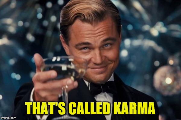 Leonardo Dicaprio Cheers Meme | THAT'S CALLED KARMA | image tagged in memes,leonardo dicaprio cheers | made w/ Imgflip meme maker