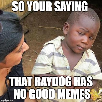 Third World Skeptical Kid Meme | SO YOUR SAYING THAT RAYDOG HAS NO GOOD MEMES | image tagged in memes,third world skeptical kid | made w/ Imgflip meme maker